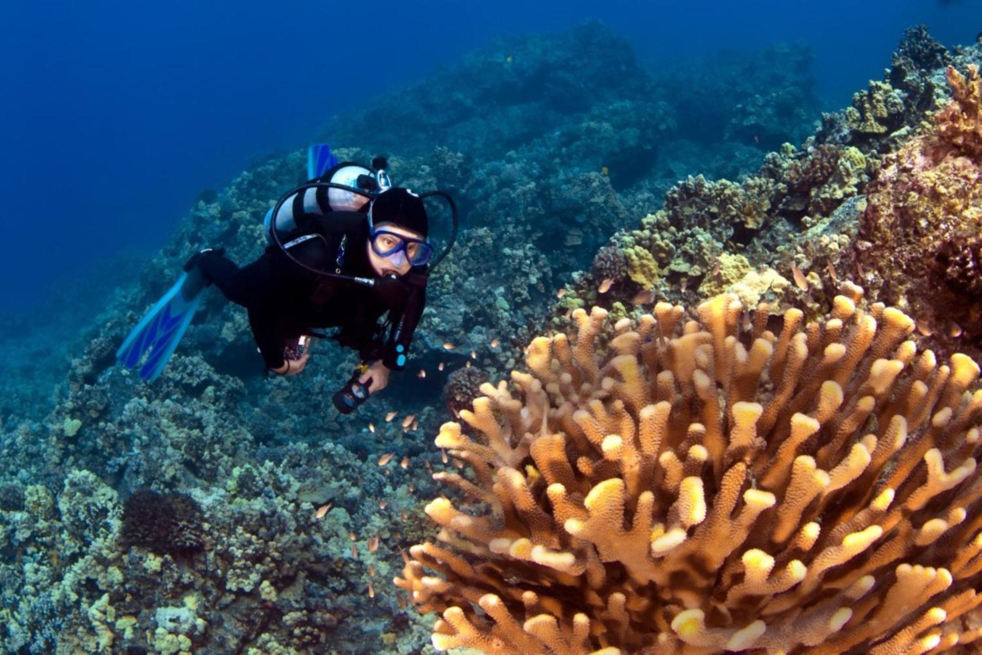 Vila Honua Kai 322 Lahaina Exteriér fotografie